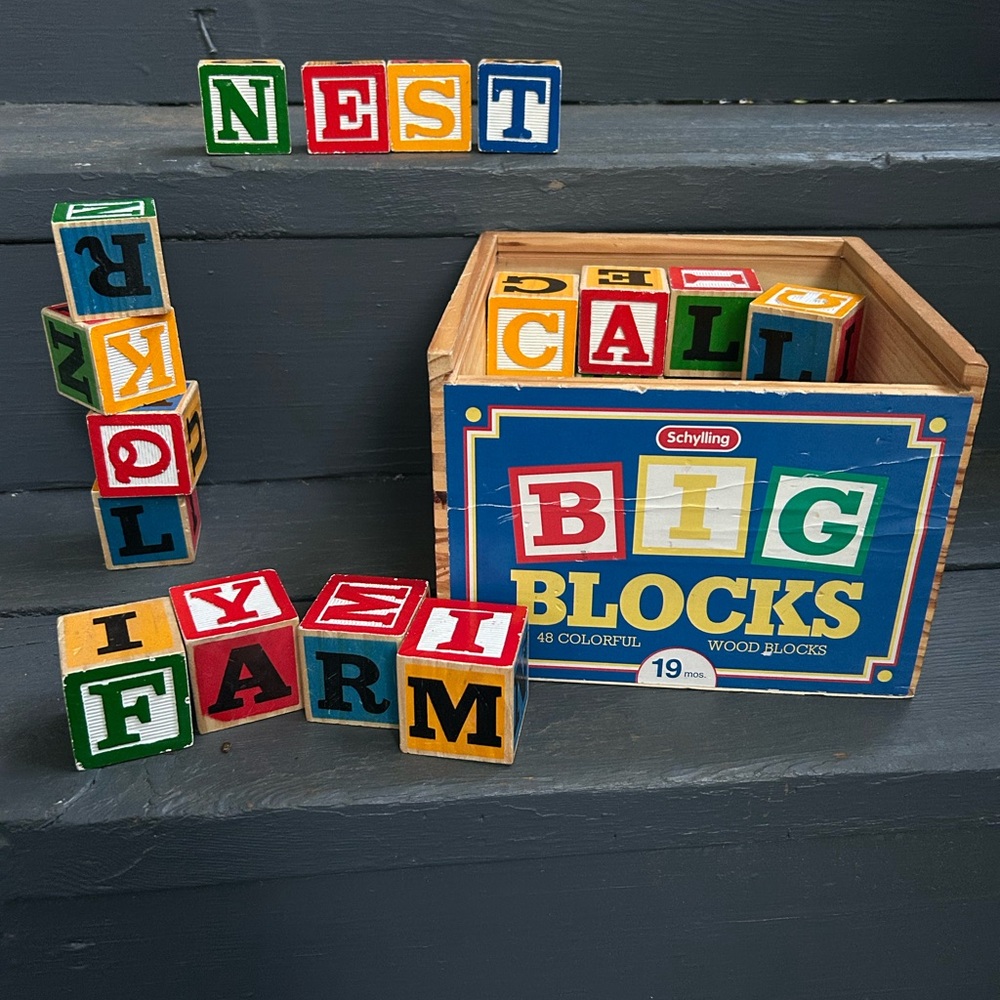 SCHYLLING. Big Blocks 48 Played with ABC's 1"5/8 in.  Wood Case.